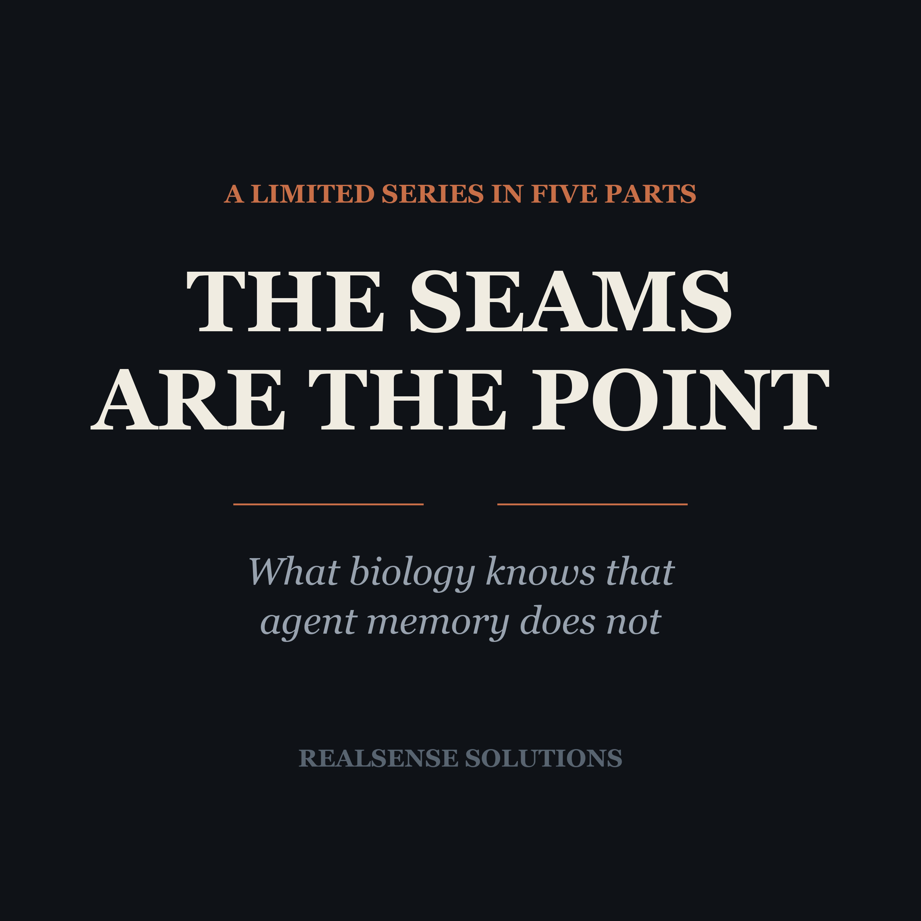 The Seams Are The Point cover art